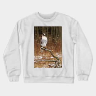 Red-Tailed Hawk Crewneck Sweatshirt